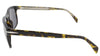 Sunglasses DB1060/S