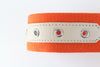 Orange Polyester Belt
