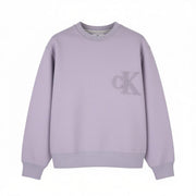 CALVIN KLEIN Men Sweatshirt M Lavender Crew Logo