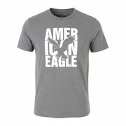 AMERICAN EAGLE OUTFITTERS Classic Fit Men T-Shirt L Grey Melange Short Sleeve