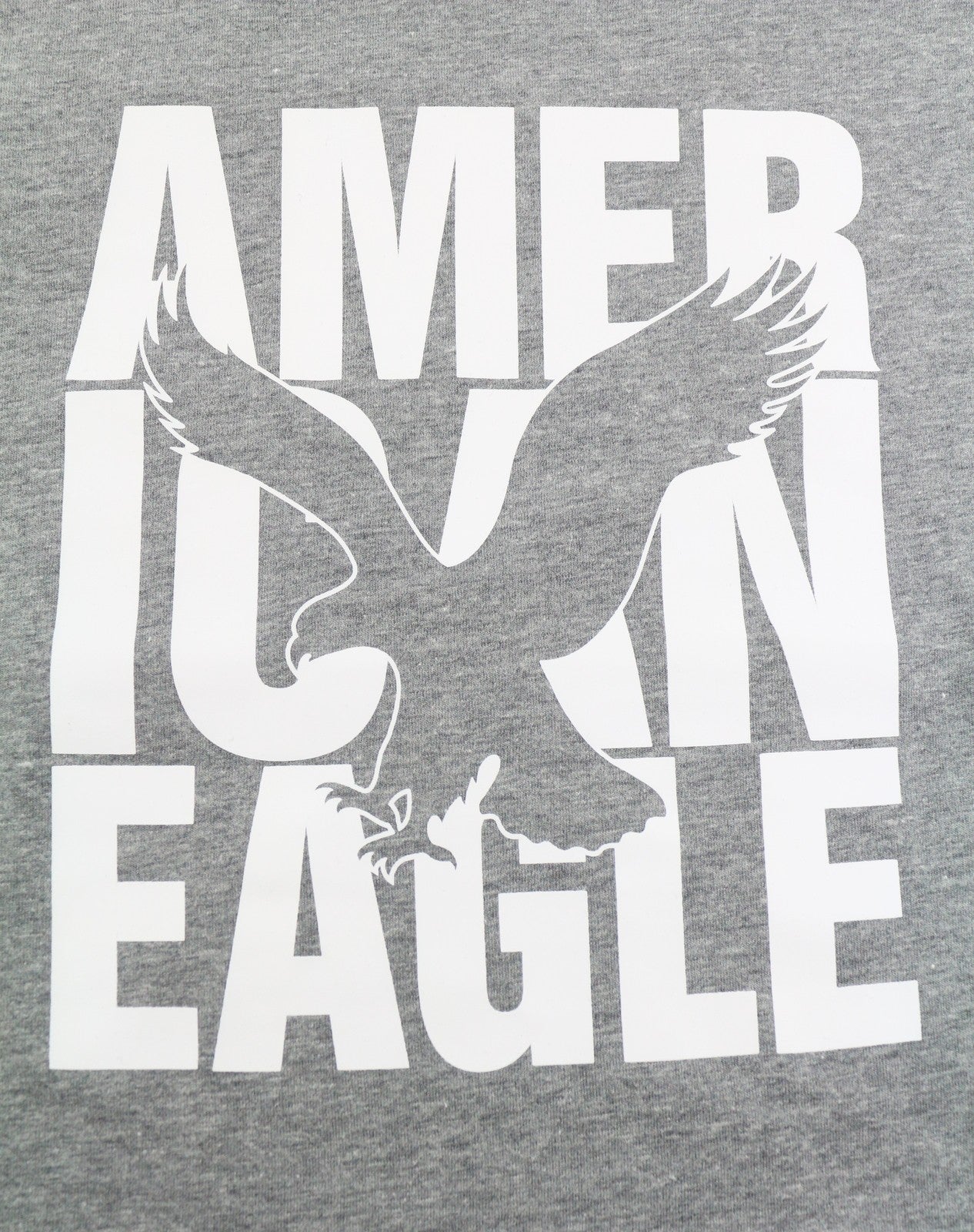 AMERICAN EAGLE OUTFITTERS Classic Fit Men T-Shirt L Grey Melange Short Sleeve