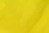 Yellow Nylon Jacket