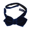 Blue Velvet Bow