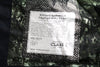 Jacket Ams Couture
