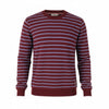 Red Cotton Sweatshirt