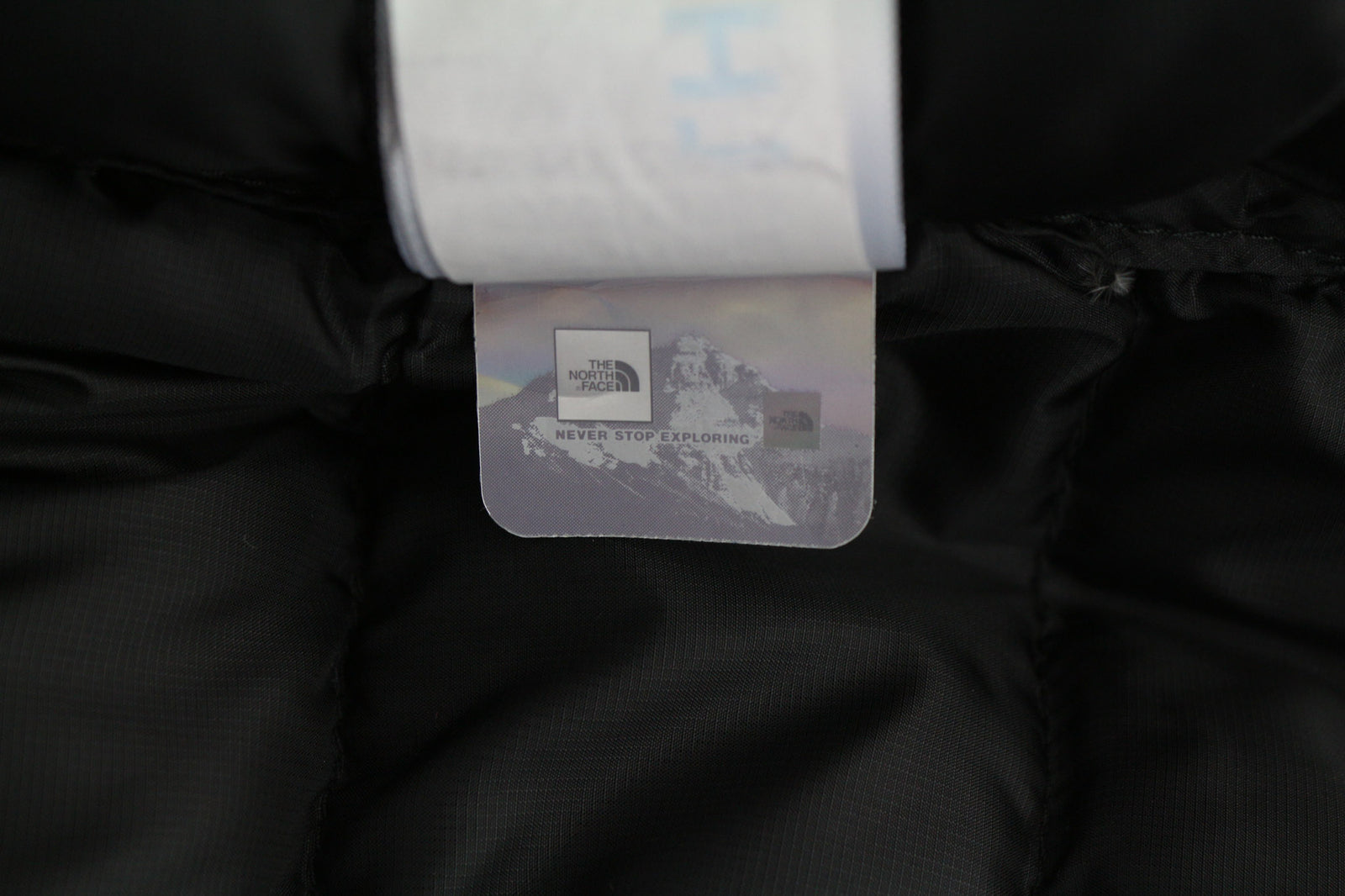 THE NORTH FACE Travail Men Jacket M Puffer 800 Down Insulated Hooded Quilted