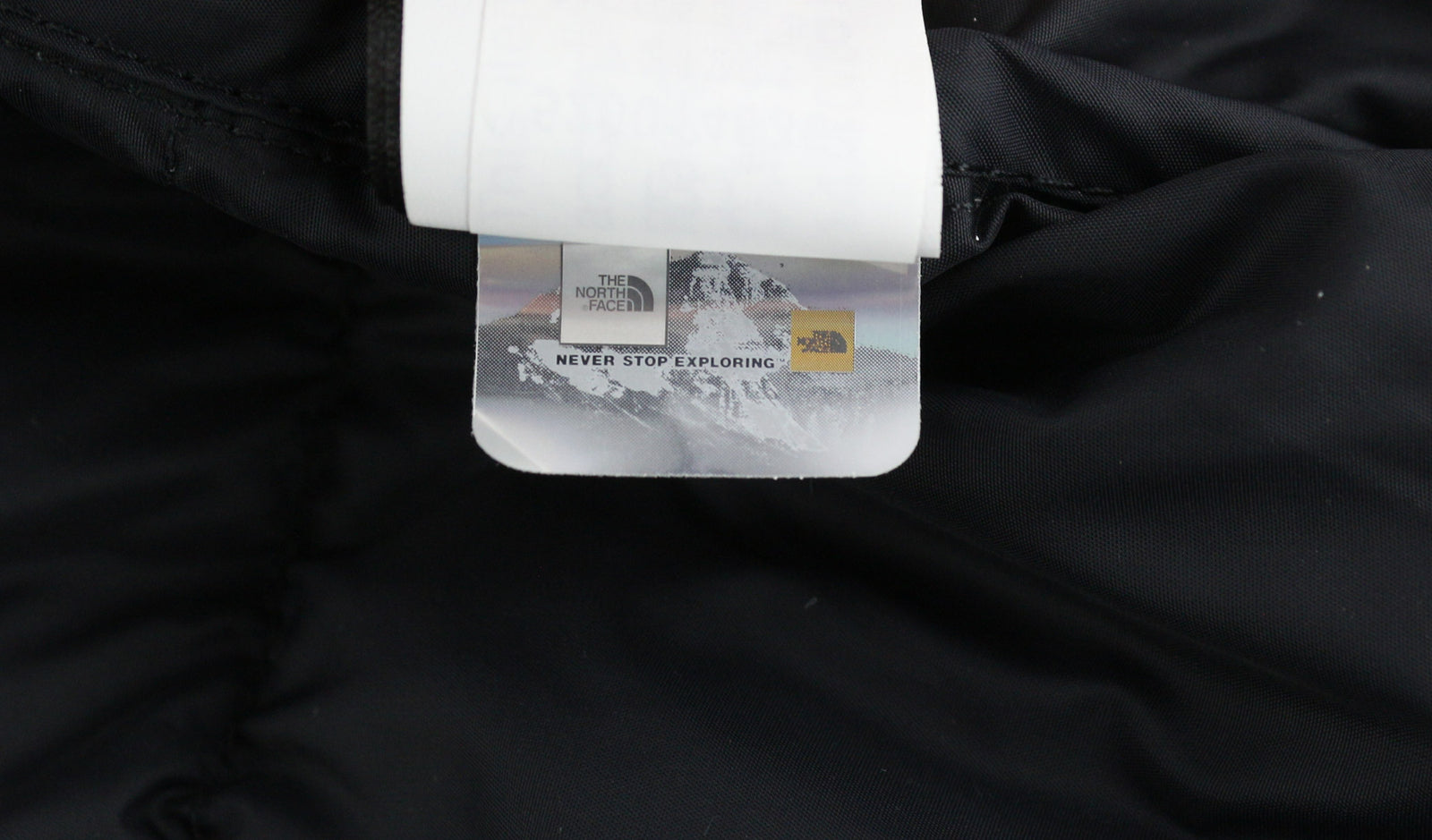 THE NORTH FACE 1996 Retro Nuptse Men Jacket L 700 Down Insulation Hidden Hood