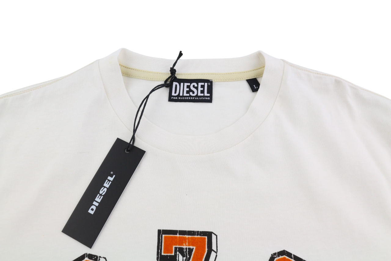 DIESEL T-Diegor-E11 mens T-Shirt L Short sleeved Crew Collar  Tricot RRP€70