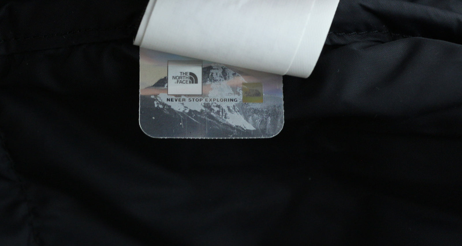 THE NORTH FACE 1996 Retro Nuptse Men Jacket XL Logo 700 Down Hidden Hood Puffer