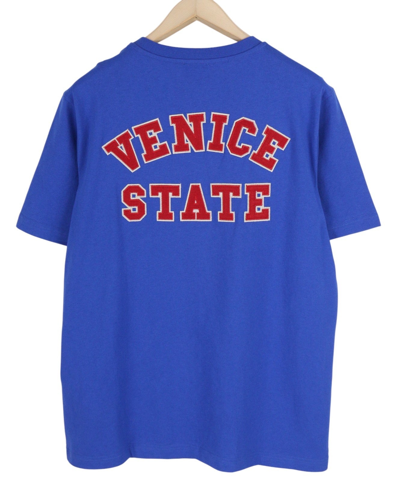 DIESEL T-Just-B85 Mens T-Shirt M Blue Short Sleeve Crew Collar  Tricot