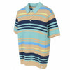 Multicoloured Cotton Polos