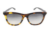 Sunglasses Mol005/S