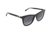 Sunglasses Mol005/S