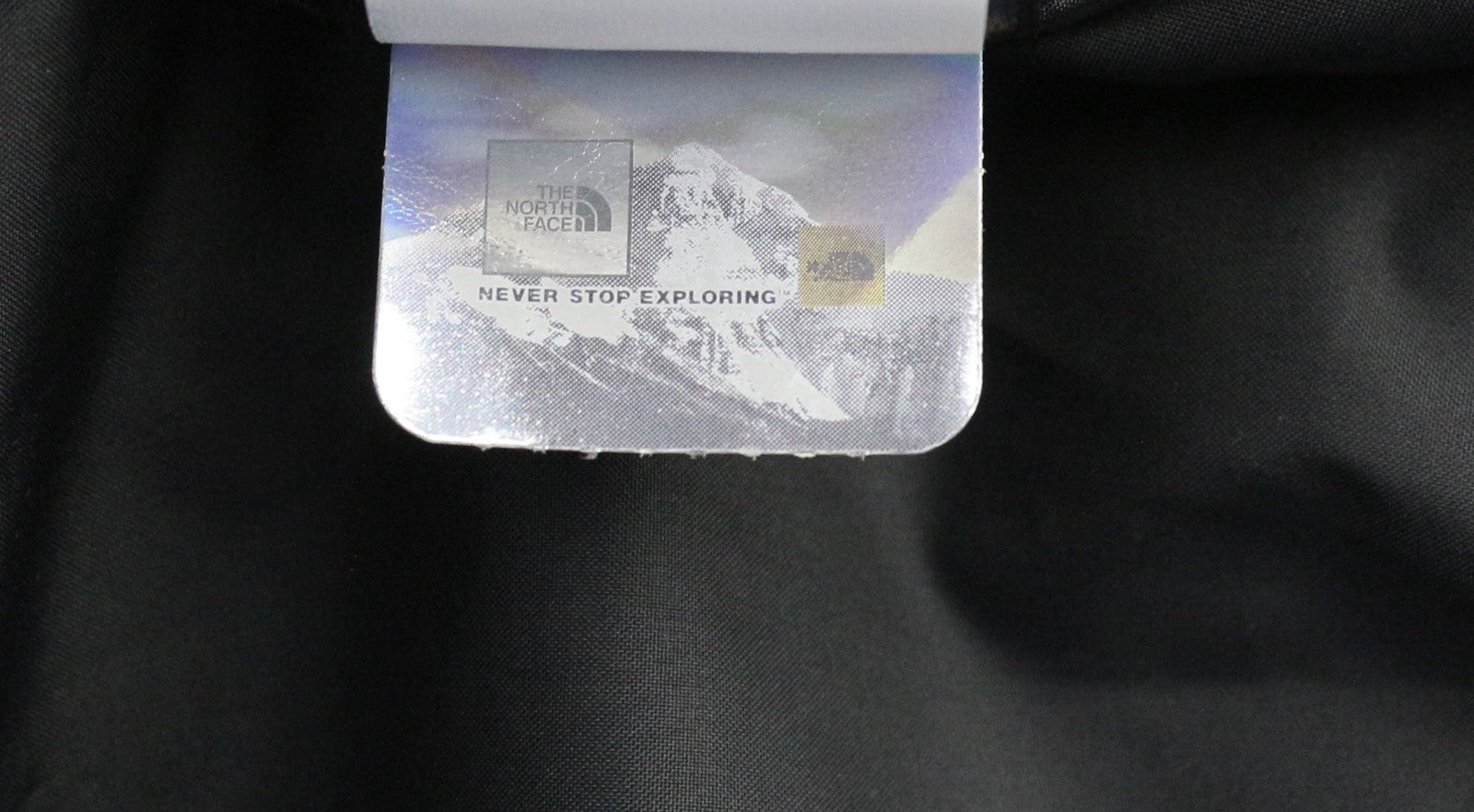 THE NORTH FACE Women's XL Hikesteller Future Light Black Hooded Jacket Logo